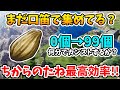 【ドラクエ7リメイク】4◯分でカンストの圧倒的最高効率!!最速で『ちからのたね』を集める方法!【Switch2エディション】ドラクエVIIリイマジンド Part5