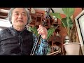 如何演奏西北民歌“就恋这把土”(二)