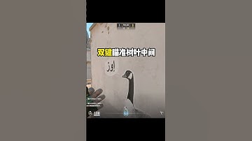 说真的我建议打沙二的都学会这几个自助闪！ #cs2 #炙热沙城2 #cs新手入门教学 #c5game C5GAME