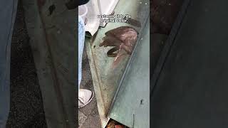 changing the color of a copper roof