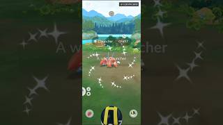 OMG Super Rare Shiny Catch In Australia In Pokemon Go #pokemon #mobilegame #shinypokemon #trend