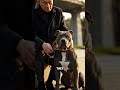 Everyone Wants a Pitbull… Until They See the Real Work Behind It