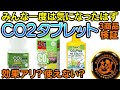 誰でも1度は気になったCo2タブレットを3商品試してみた