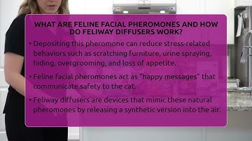 What Are Feline Facial Pheromones And How Do Feliway Diffusers Work? - Happy Cat Handbook