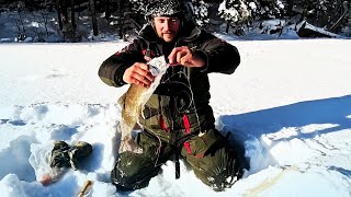 видео: Зимняя рыбалка в тайге на ленка и хариуса. Новые приспособления на крупного ленка. Рыбалка в Сибири. картинка: Зимняя рыбалка в тайге на ленка и хариуса. Новые приспособления на крупного ленка. Рыбалка в Сибири.