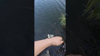 #배스낚시 #bassfishing #fishing #탑워터 #눈맛 #손맛 #힐링낚시 #진주 #나불천