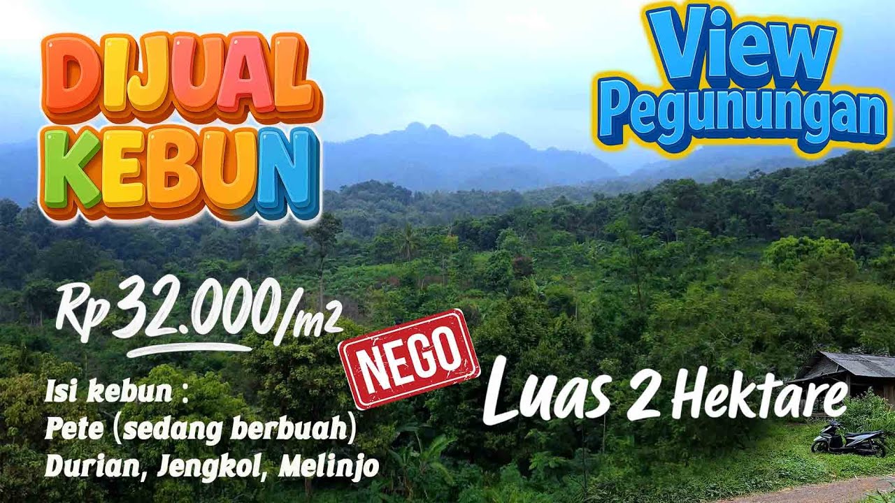 DIJUAL KEBUN MURAH LT 2 Hektar AJB  (1buku),View Pegunungan, Cocok Untuk Rumah Kebun 