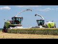 Double Trouble | Wholecrop barley harvest 2023 | Claas Jaguar 860 &amp; 960