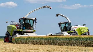 Double Trouble | Wholecrop barley harvest 2023 | Claas Jaguar 860 &amp; 960