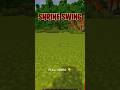 Minecraft Shrine Swing #minecraft #shorts