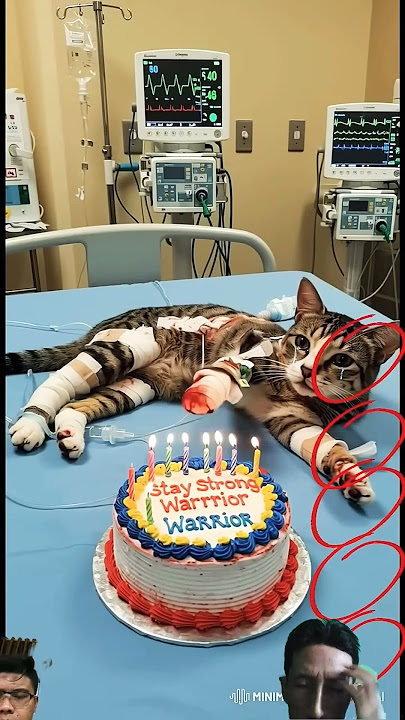 kasian banget kucing baru sakit...