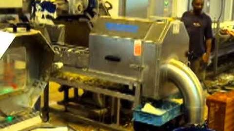 Salad Line Process -Tecnoceam