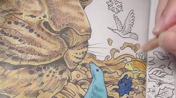 Imagimorphia - How I color Part7