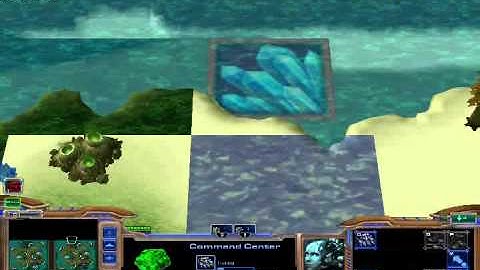 Starcraft 2 - Visual bug issue