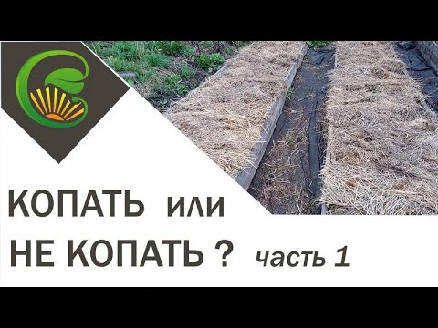 Video: Kopat Nebo Nekopat?