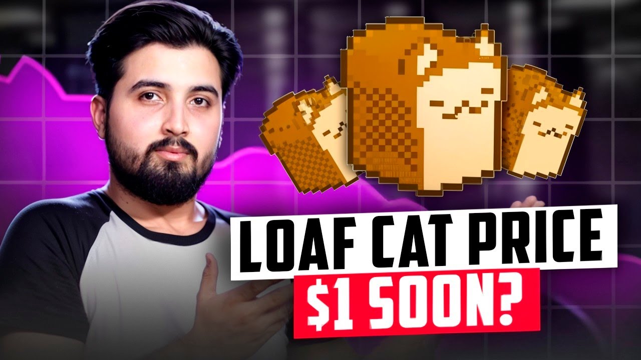 Loaf Cat  Top meme coin on Solana ! Price will explode to $1!