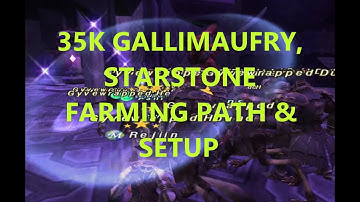 FFXI - Sortie - EASY 35K Gallimaufry & Starstone Setup/Route! Full Run + Commentary