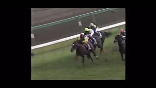 JRA重賞競走 単勝配当Best5