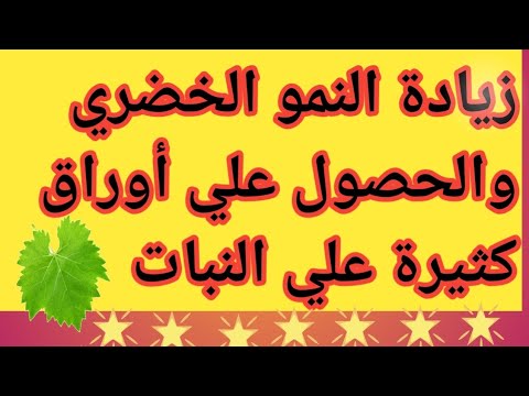 زيادة النمو الخضري وعدد كبير من الأوراق