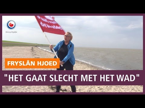 REPO: Waddenvereniging: "Het gaat slecht met het Wad"