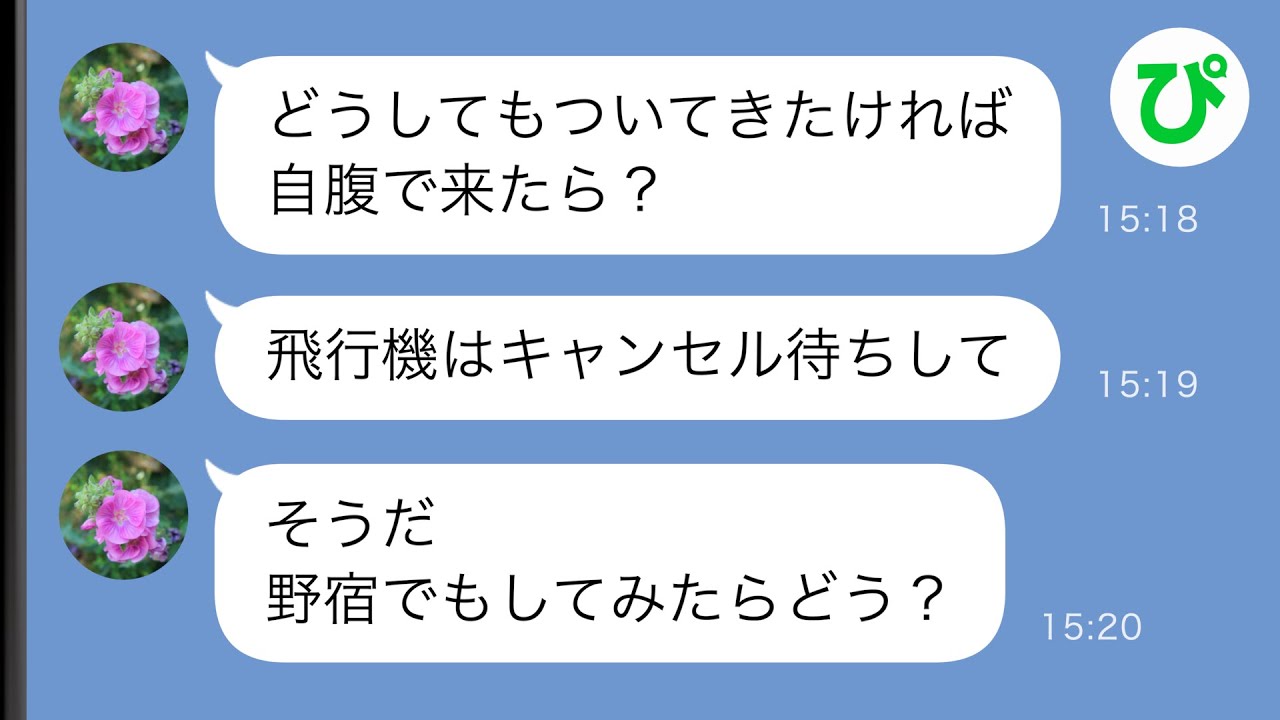 【LINE】義母がわざと私のチケットだけ手配していなかったので大掛かりな仕返しを実行したった【総集編】