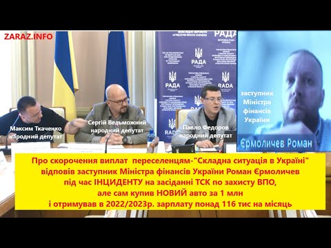 Інцидент с заступником Міністра фінансів Р. Єрмоличевим під час засідання ТСК по захисту прав ВПО