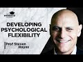 Developing Psychological Flexibility - Prof Steven Hayes