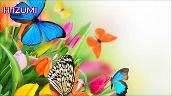 Hqdefault Jpg Sqp Oaymwexcnacelwbsfryq4qpawkiaruaaihcgae Rs Aon4clavn7abafawahllunx2 58rxsiq Hqdefault Jpg Sqp Oaymwexcnacelwbsfryq4qpawkiaruaaihcgae Rs Aon4clavn7abafawahllunx2 58rxsiq