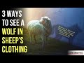 Are You Being Deceived By A Wolf In Sheep S Clothing God Says Are You Being Deceived By A Wolf In Sheep S Clothing God Says
