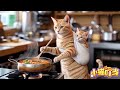 Dingdang's Day Accompanying Mom to Work  #cat #貓咪日常 #喵哥是萌新