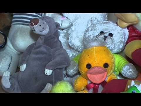 TV ERA - ტელეკომპანია ერას საქველმოქმედო აქცია (ია გოლიაძის სიუჟეტი)