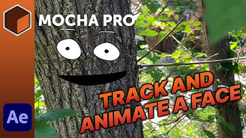 Mocha Pro  - Tracking and Animating a Face
