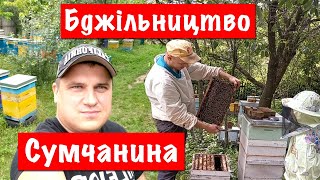 Андрій Сумчанин ✅ Технологія Бджільництва, Карніка 🐝