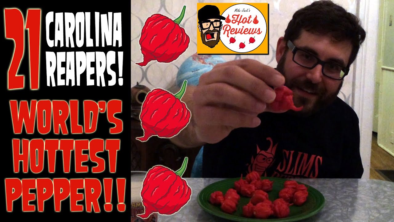 21 Carolina Reaper Pepper Challenge World S Hottest Pepper Guinness World Records Chilli Youtube