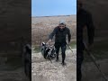 صيد الخضيري 2022
