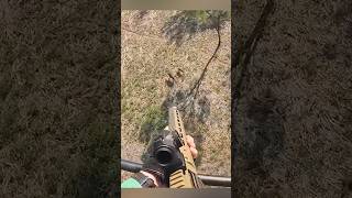 “Охота на кабана: момент адреналина в дикой природе” #дикаяприрода #загоннаяохота #природа #hunting