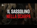 Il sassolino nella scarpa - Presadiretta 18/10/2021