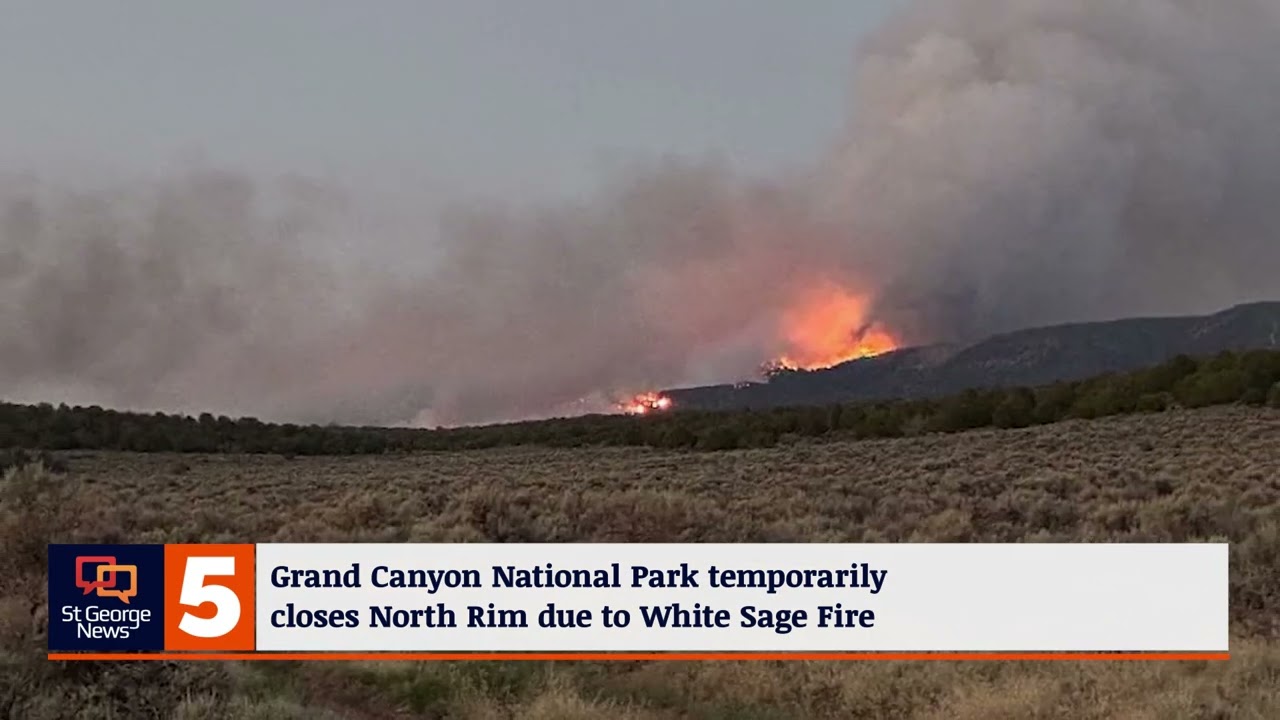 Grand Canyon National Park temporarily closes North Rim due to White Sage Fire