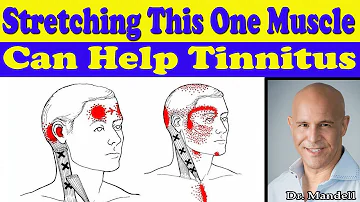 Stretching This One Neck Muscle Can Help Your Tinnitus - Dr Alan Mandell, DC