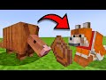 Minecraft 1.21: Armadillo &amp; Wolf Armor