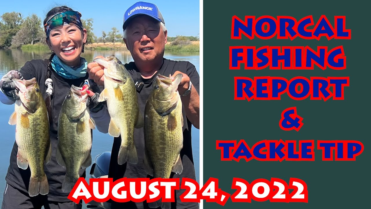What's Biting? NORCAL WEEKLY FISHING REPORT + Tackle Tip August 24