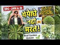 🔥कड़ाके की ठंड में भी नहीं मरे ये पौधे 😱 सर्दी में भी ना मरने वाले सुपर हार्डी पौधे|