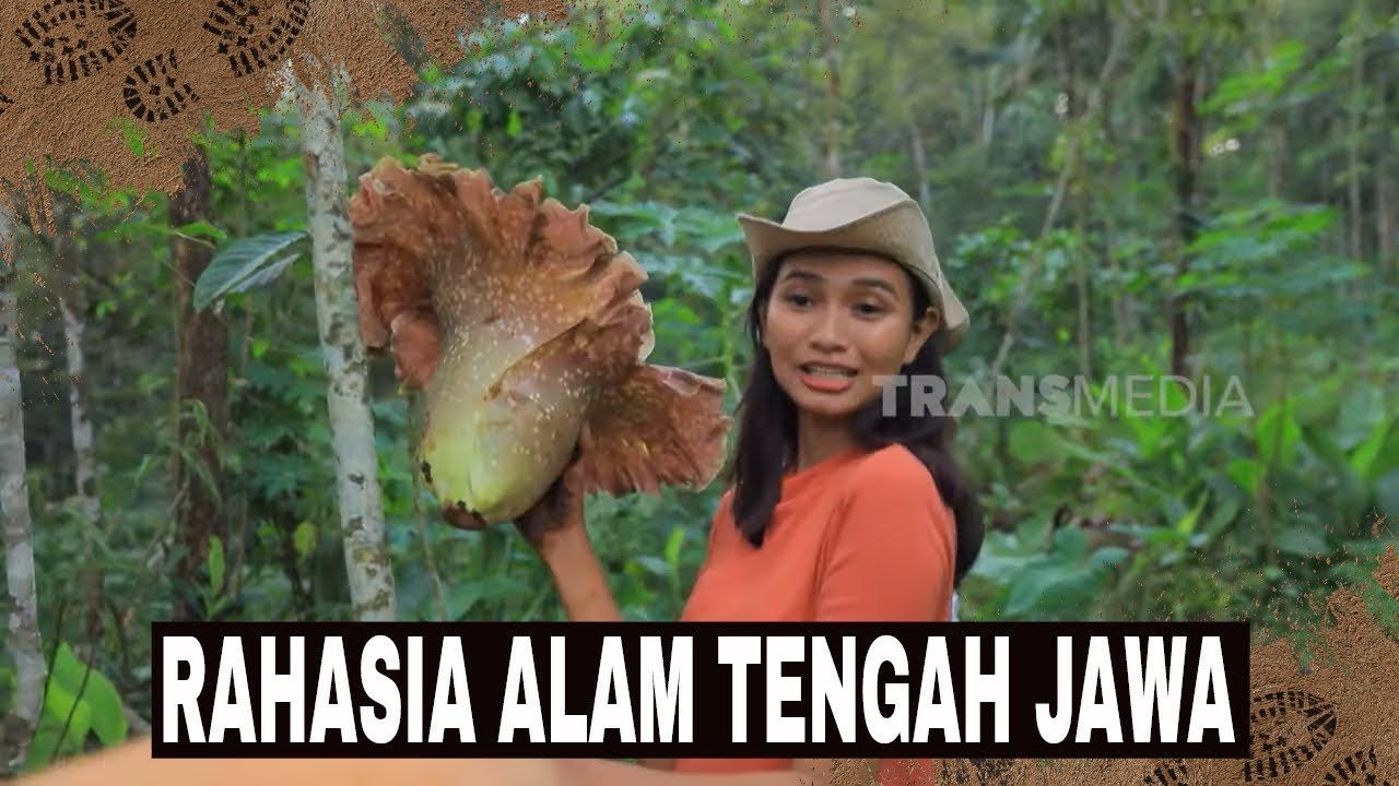 [FULL] RAHASIA ALAM TENGAH JAWA | JEJAK PETUALANG (11/12/24)