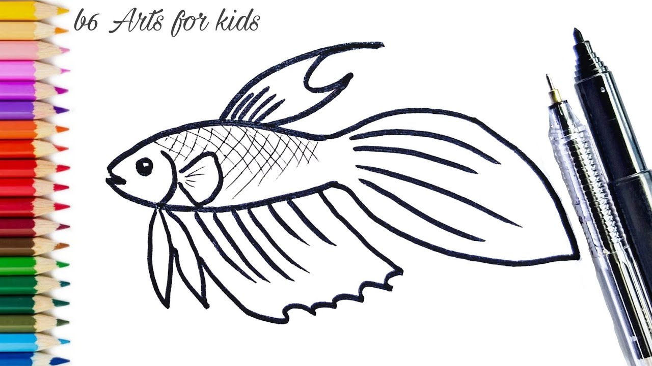 How To Draw A Betta For Kids, Betta Fish, Step by Step, Drawing Guide, by  Dawn - DragoArt