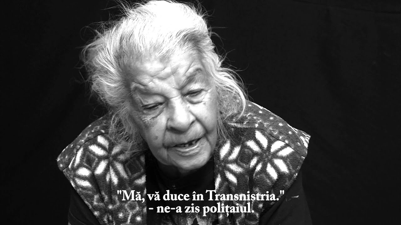 In numele statului .Holocaustul romilor