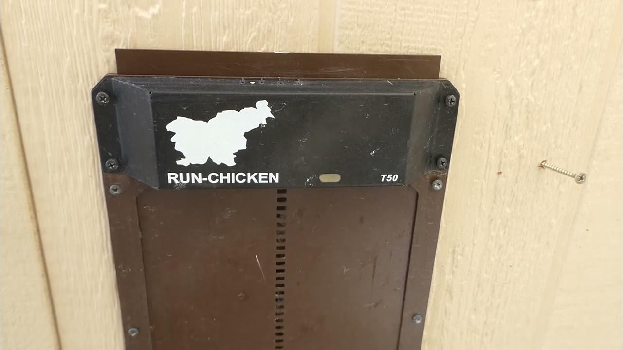 Do You NEED to heat your chicken coop? YouTube