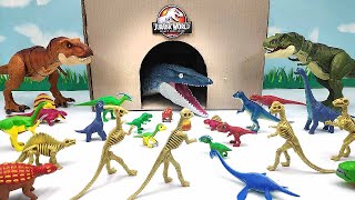 Throwing Bombs in the Dinosaur Cave! Jurassic World Dinosaur T-Rex, Stegosaurus, Mosasaurus
