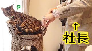社長自ら4万円のカリカリーナ修理に来て下さいました!