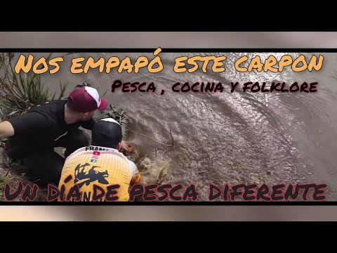 Video: Acampa, Pesca Y Habla Con Humanos En Snow Peak Way