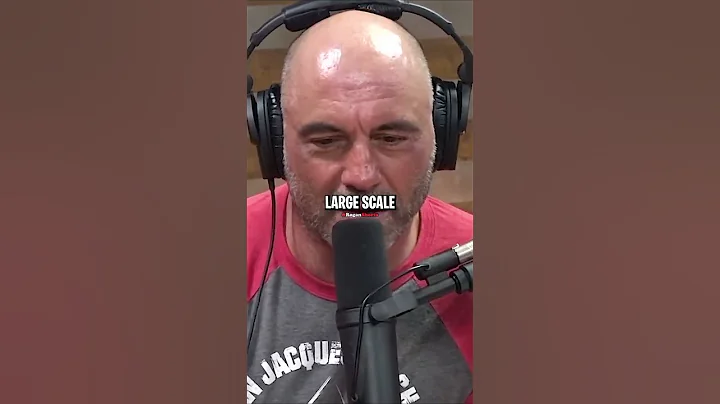 Joe Rogan Reacts to Donald Trump's Presidency